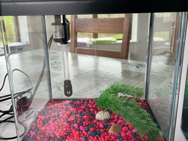 16L Cold water Aquarium/Fish Tank - Main image