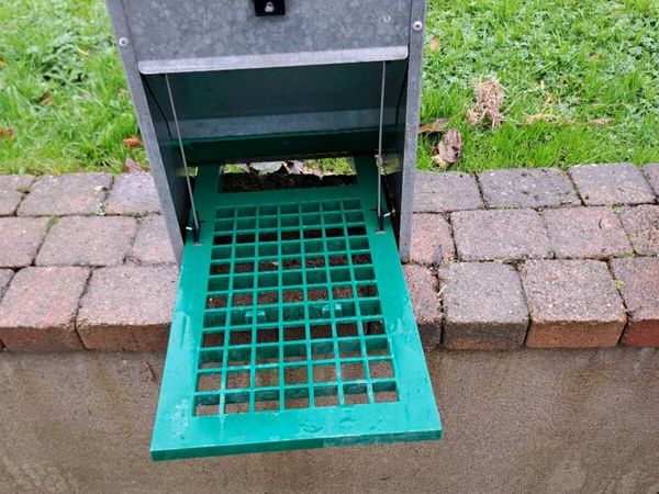 Feedomatic poultry feeder - Main image