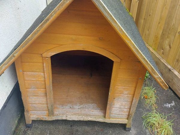 Dog House - Main image