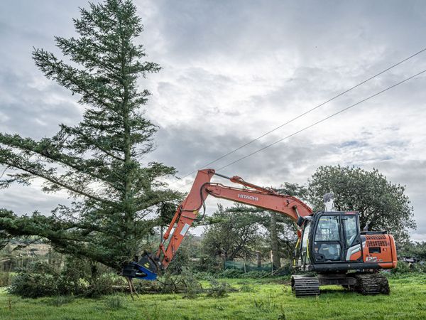 Radial Shear 300/400, Tree Shear - Main image