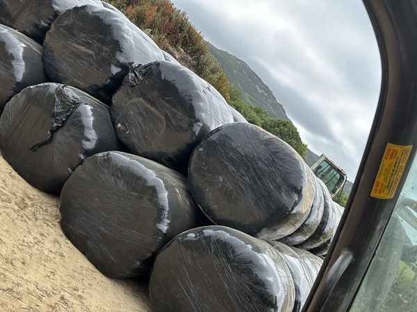 Round bales silage - Main image
