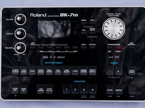 Roland Bk- 7m - Main image