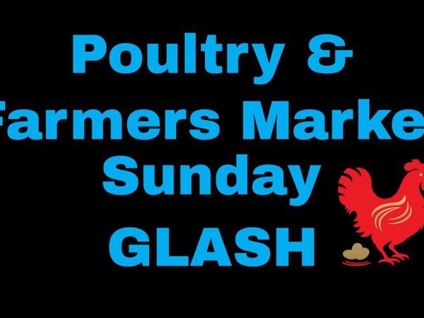 Poultry market - Main image