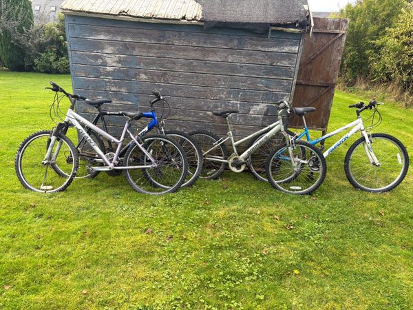 Bicycles - Main image
