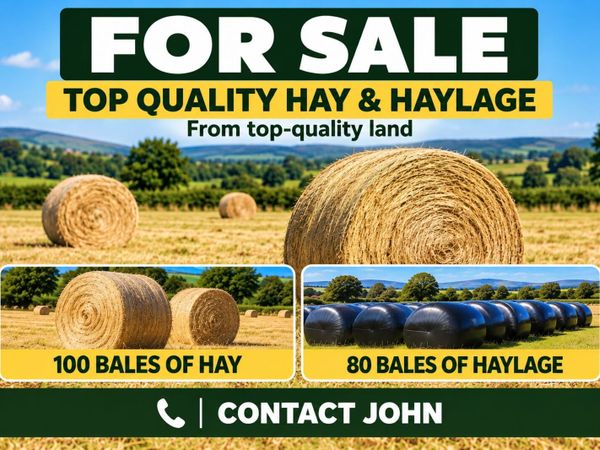 🌾 Top-quality Hay and Haylage - Main image