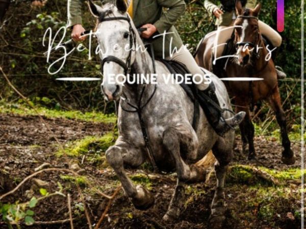 17.1 hh hunter - Main image