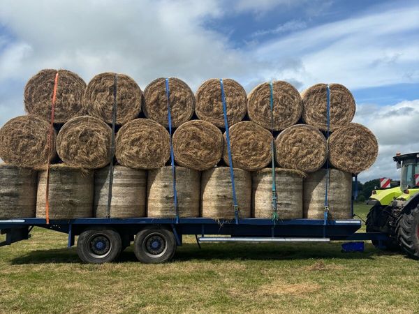 300 Round bales of Hay - Main image