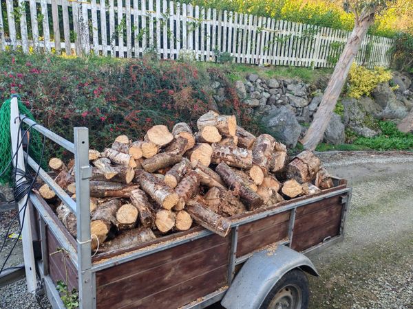 Firewood - Main image