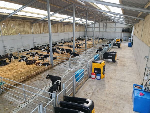 Automatic Calf Feeder - Main image