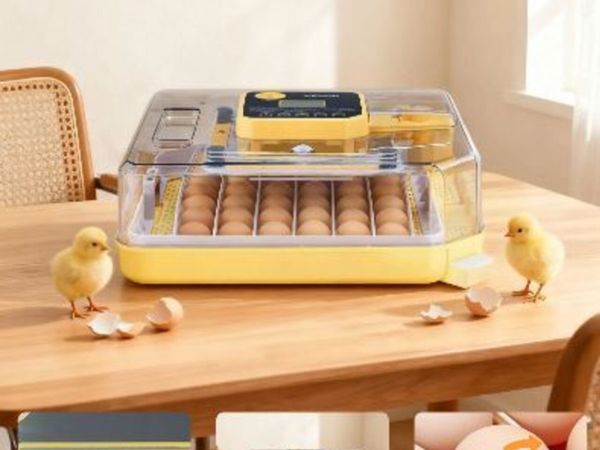 48 Egg Incubator, Automatic Egg Turner - Main image