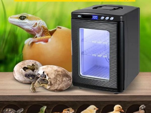 Black Reptile Incubator 25L Scientific Lab - Main image