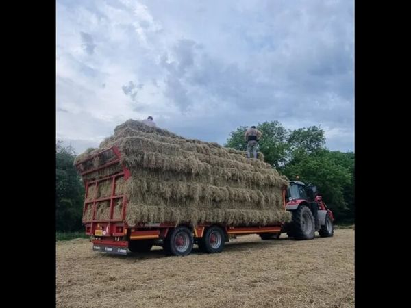 Small bales of hay and straw, round bales of hay - Main image