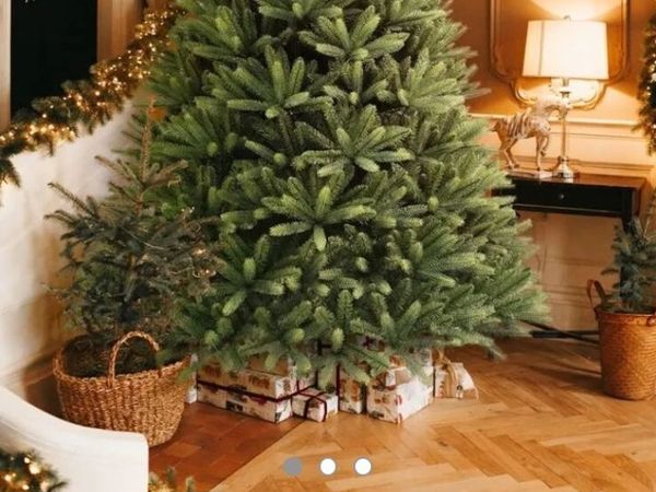 Christmas tree - Main image