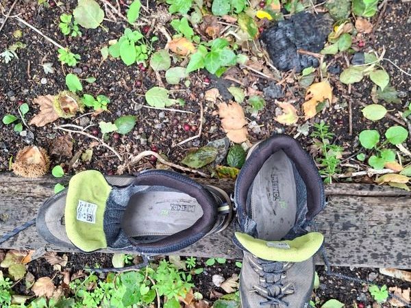Meindl Terlan GTX Hiking Boots - Main image