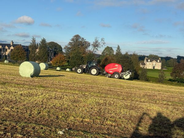 High-quality round bales silage - Main image