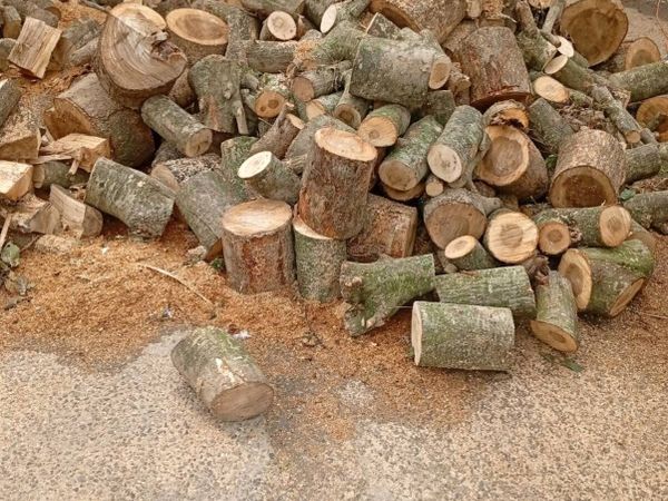 Firewood - Main image