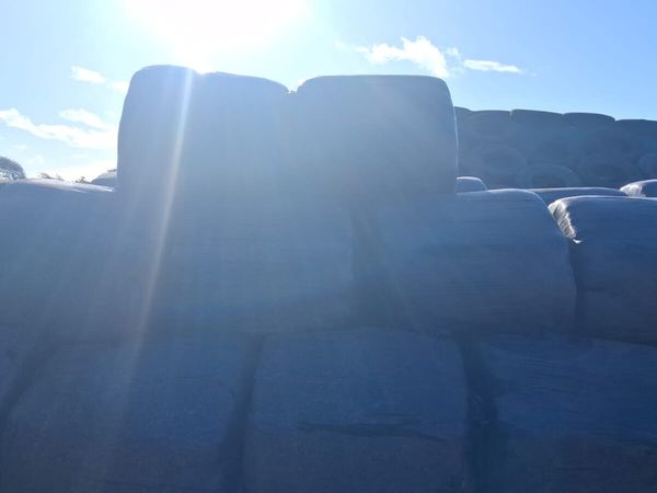 Silage bales - Main image