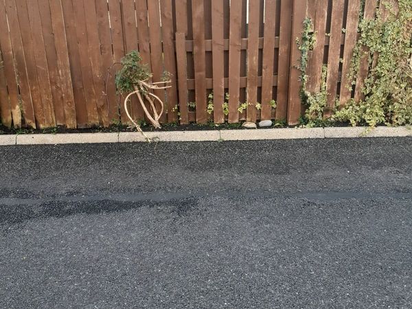 Hedges fencing rails - Main image