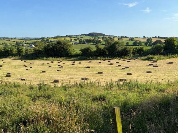 Small Square Bales of Hay - Main image