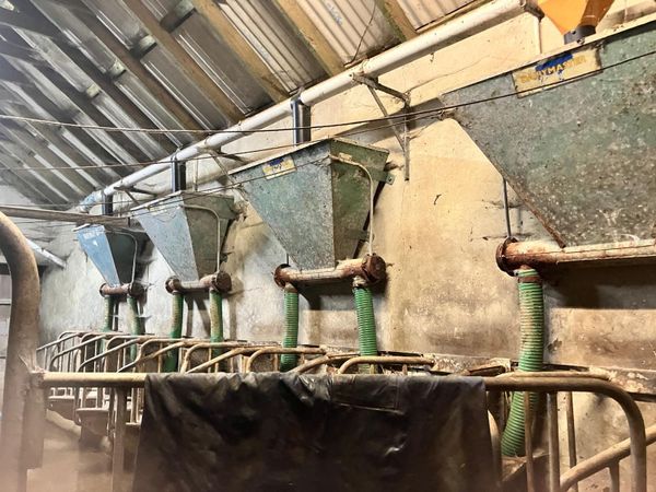 Parlour feeders - Main image
