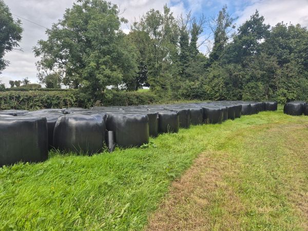 Bales - Main image