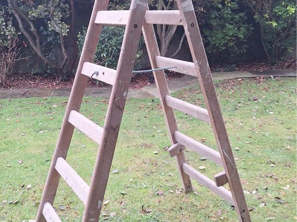 Ladder - Main image