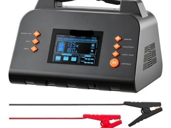 Smart Battery Charger 30A 6V 12V 24V for Lithium L - Main image