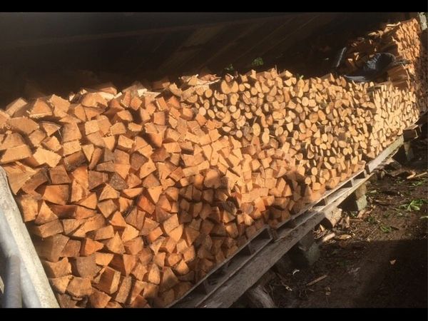 ⭐️Seasoned firewood  Kenmare⭐️ - Main image