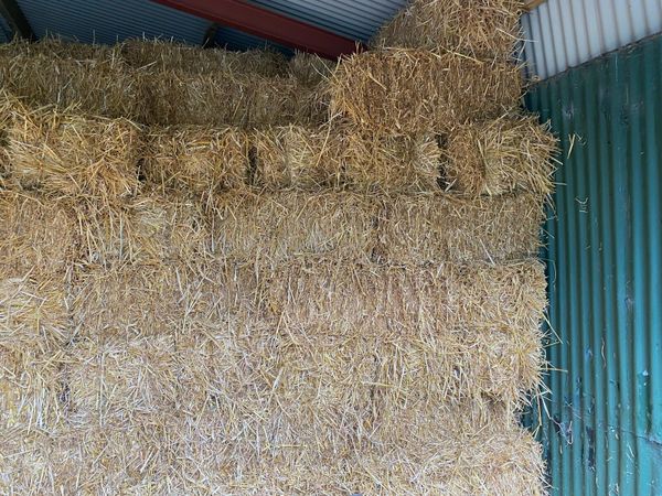 Small square straw and hay - Main image