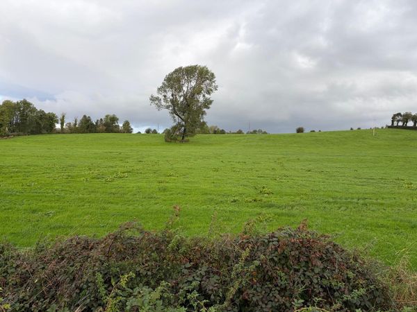 Land for sheep - Main image