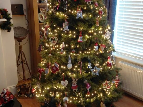 Nebraska 7ft Christmas Tree - Main image
