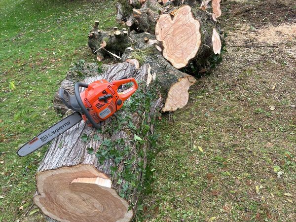 Timber fire wood - Main image