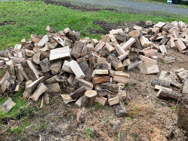 Ash firewood - Main image