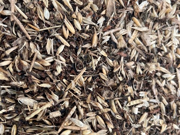 Free poultry feed / pig feed - organic - Main image