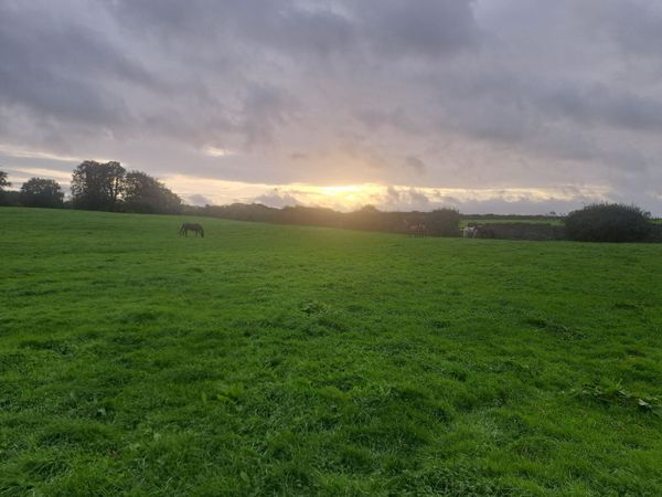 Land/sheds available - Main image