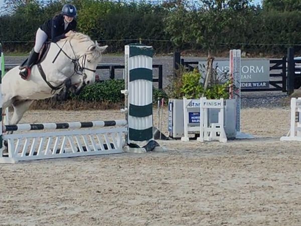 Two super Connemara gelding and mare - Main image