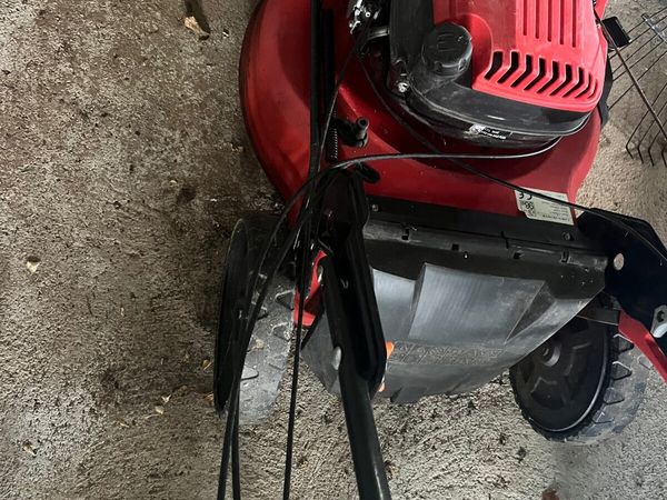 Petrol Harry Lawn Mower - Main image