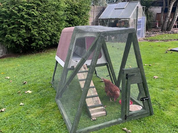 Chicken Coop & Run. - Main image