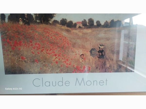 Framed picture - Main image