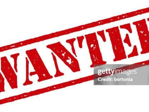 Wanted: Large Volume of Friesian Bulls - Main image