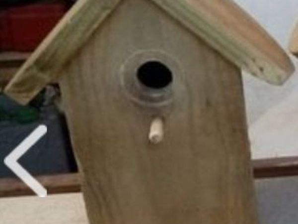Birdhouses - Main image