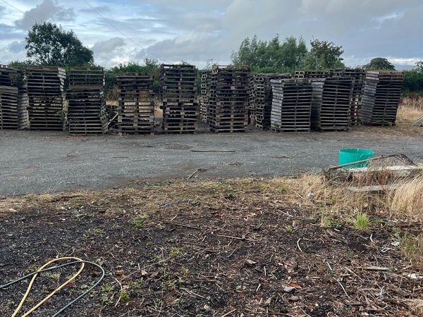 Pallets - Main image