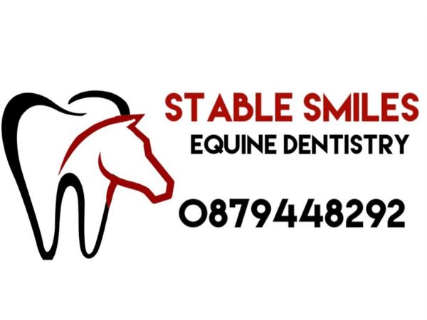 Equine Dentist - Main image