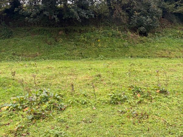 Site - Main image