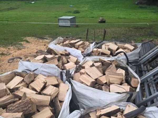 Firewood  hardwood ash - Main image