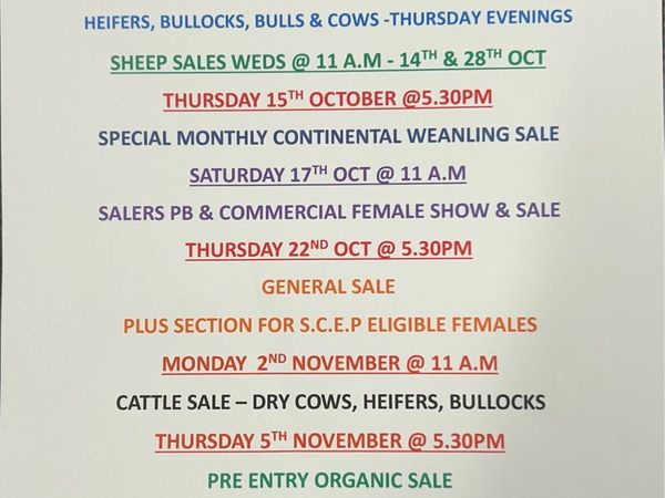 Gort Mart; Thursday 15th October - Main image