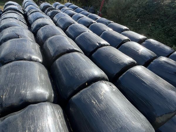 Straw and silage - Main image