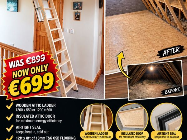 Attic ladder and storage - Main image