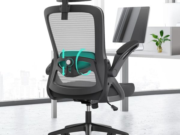 Office Chair Ergonomic with Lumbar Support - Main image