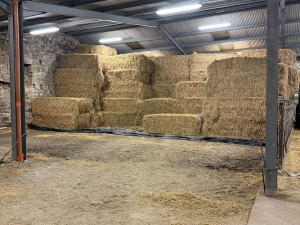 Hay & straw 8x4x3 - Main image